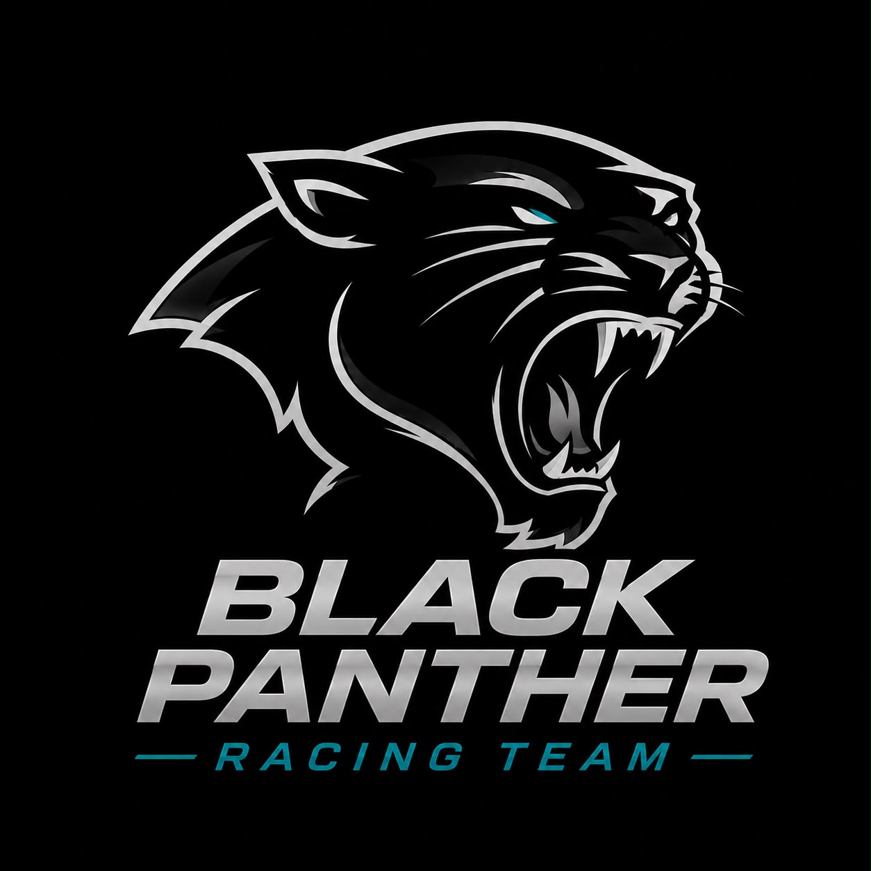Black Panther Racing